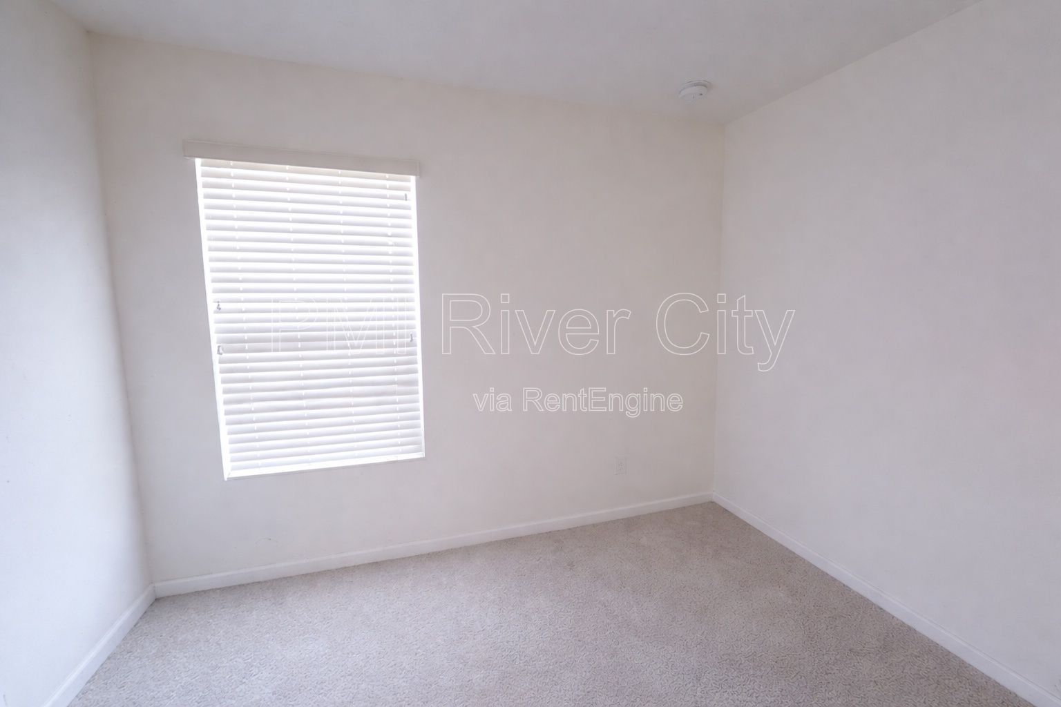 12154 Alexandra Drive  32218 property image
