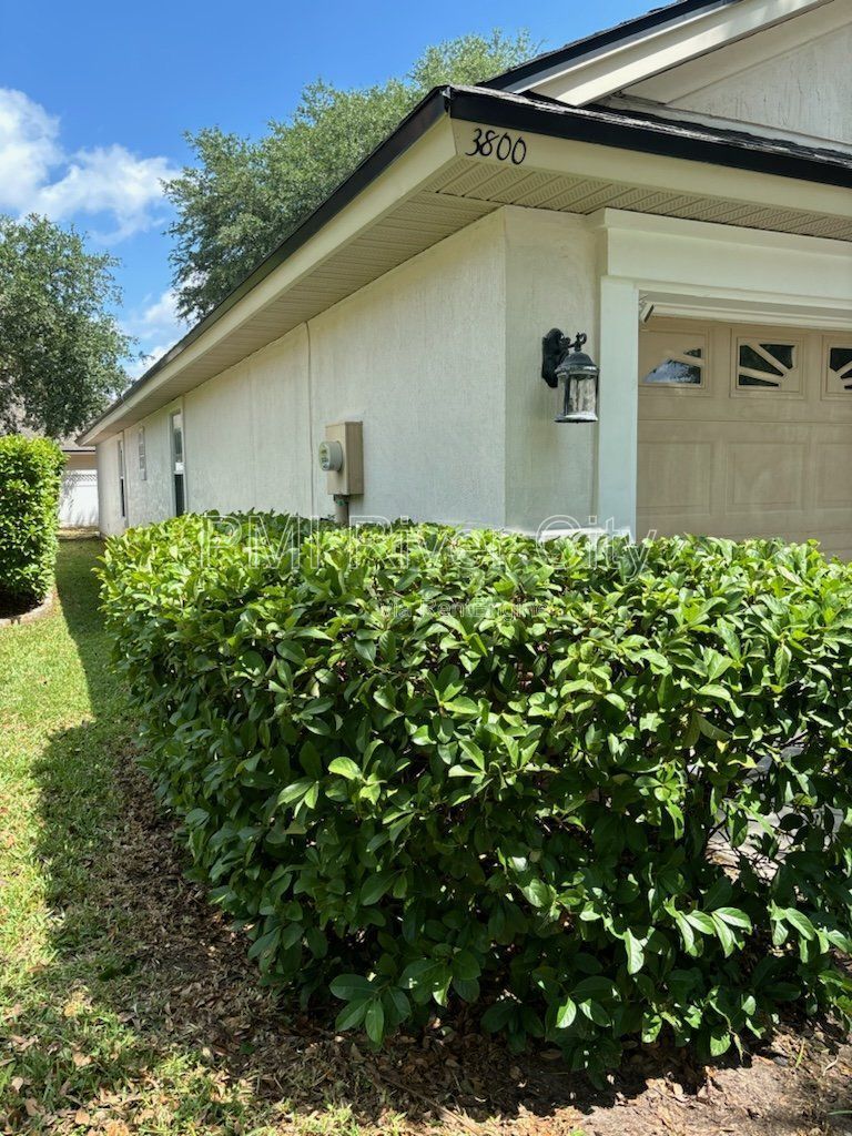 3800 Pebble Brooke Circle, Orange Park, 32065 property image